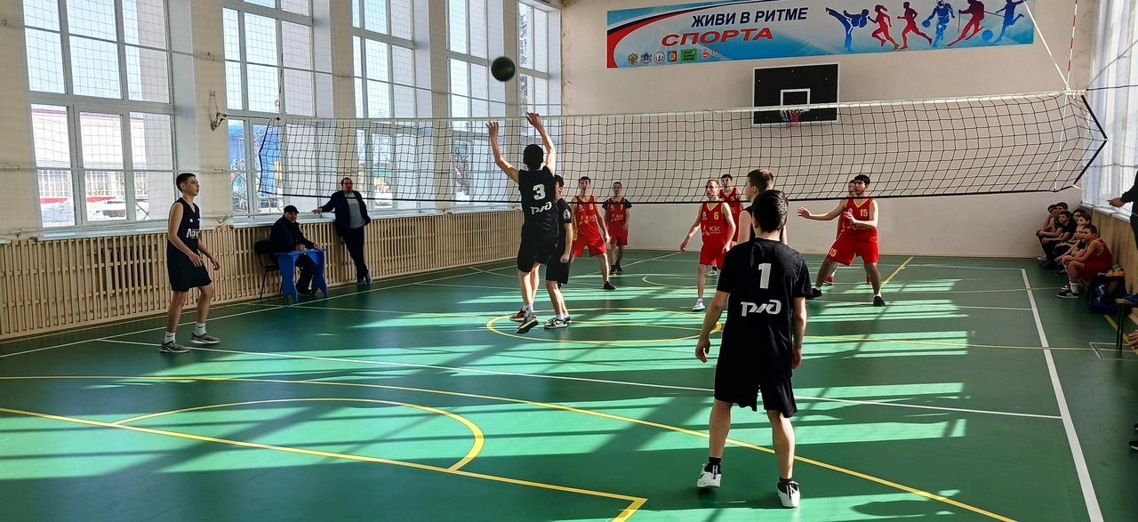 Соревнования по волейболу.