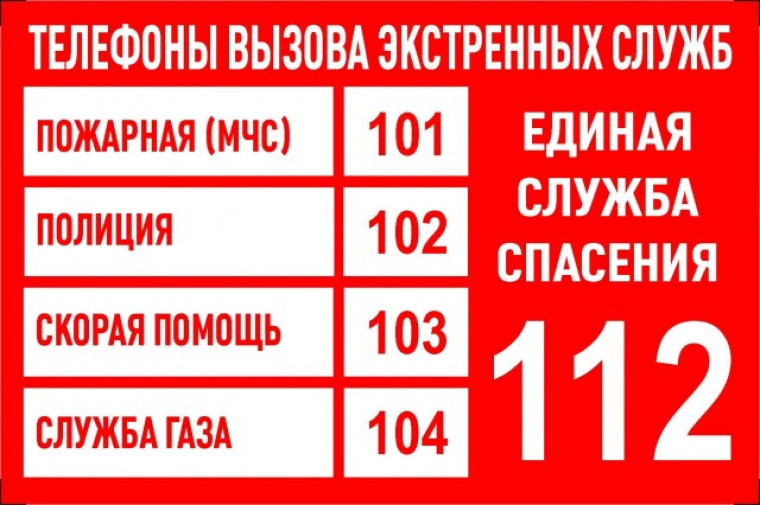 Ресурсы оказания экстренной помощи населению.