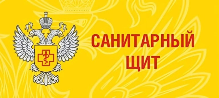 О реализации коммуникационной стратегии «Санпросвет».